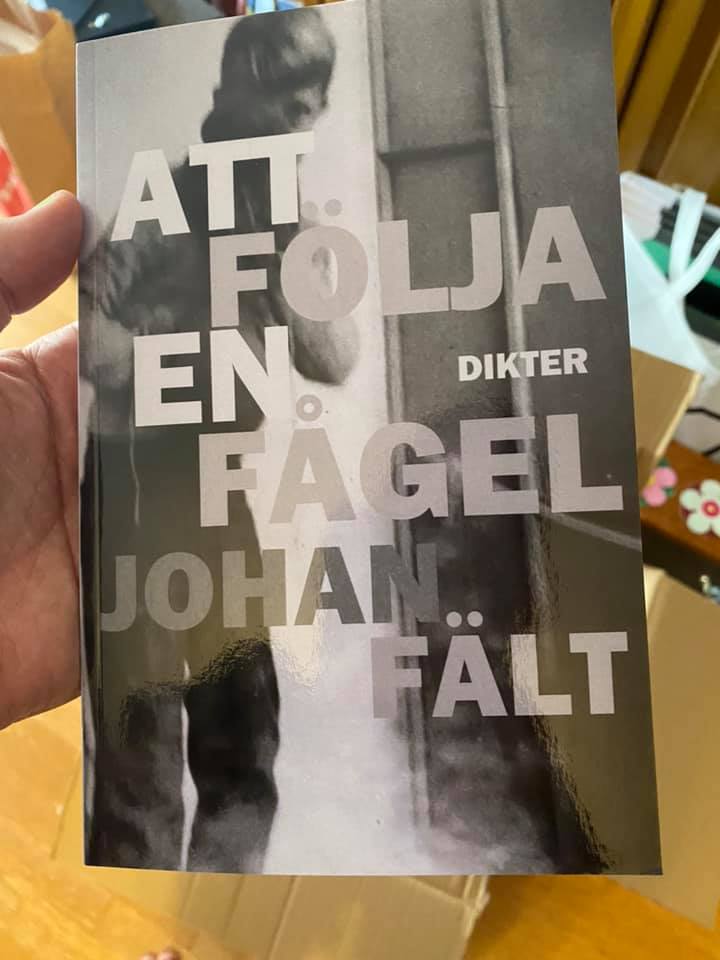 Johan Fält Att följa en fågel